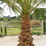 Aquqmqris Planta Baha 1 Dorm Cami Del Llavador, 5, Denia *